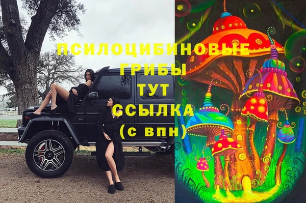 герыч Алексин